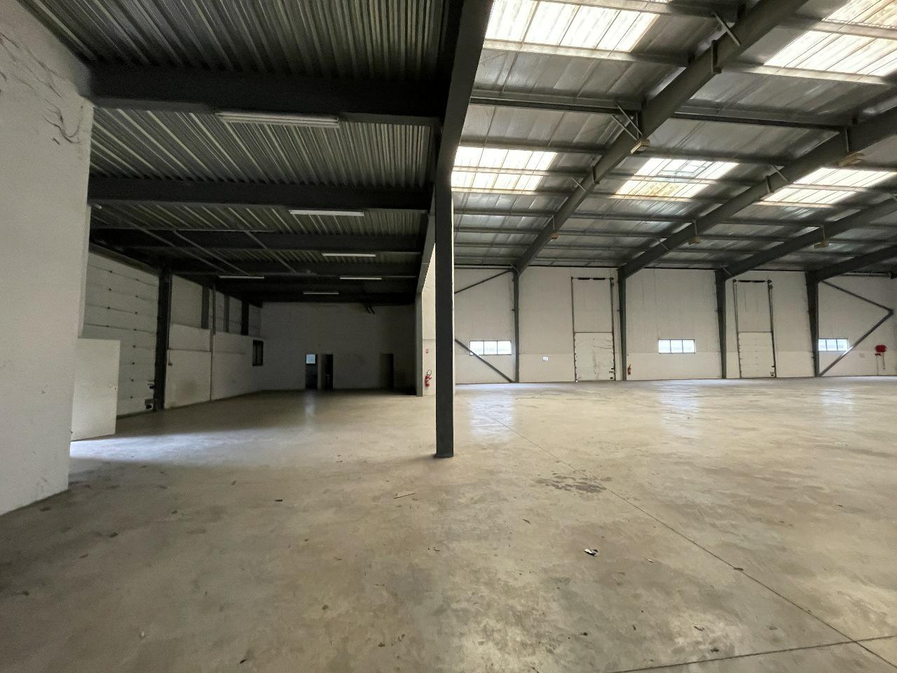 Local d'activité Mauguio 1620m² Vente local d'activité Mauguio Hérault OVACT2531477 6